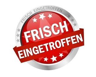 DFSK Fengon E5 Gebrauchtwagen