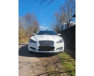 Jaguar XF Gebrauchtwagen