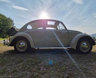 VW Käfer Gebrauchtwagen