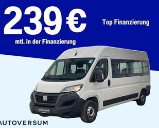 Fiat Ducato Gebrauchtwagen