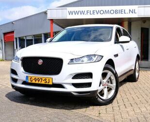 Jaguar F-Pace Gebrauchtwagen
