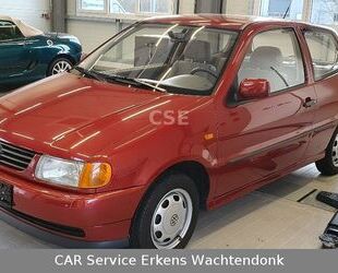 VW Polo Gebrauchtwagen