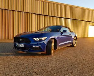 Ford Mustang Gebrauchtwagen