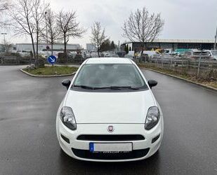 Fiat Punto Evo Gebrauchtwagen