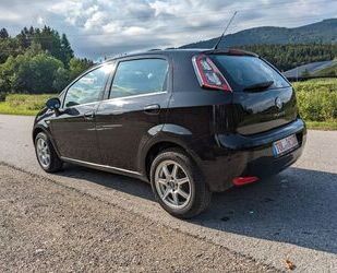 Fiat Punto Gebrauchtwagen