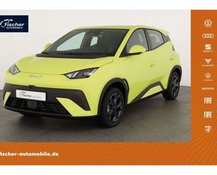 BYD DOLPHIN Gebrauchtwagen