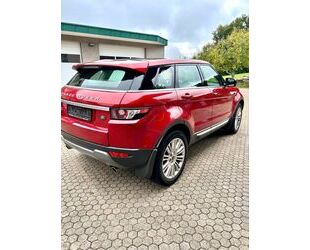 Land Rover Range Rover Evoque Gebrauchtwagen