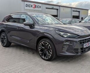 Cupra Terramar Gebrauchtwagen