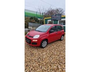 Fiat Panda Gebrauchtwagen
