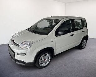 Fiat Panda Gebrauchtwagen