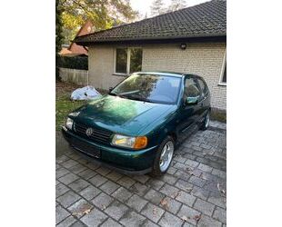 VW Polo Gebrauchtwagen