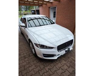 Jaguar XE Gebrauchtwagen