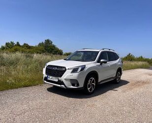 Subaru Forester Gebrauchtwagen