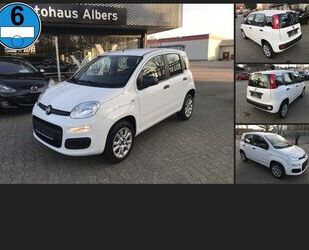 Fiat Panda Gebrauchtwagen