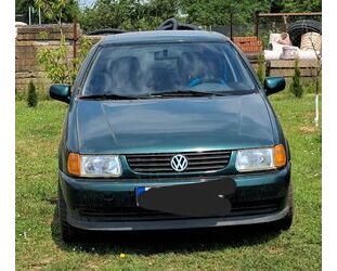 VW Polo Gebrauchtwagen