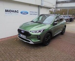 Ford Kuga Gebrauchtwagen