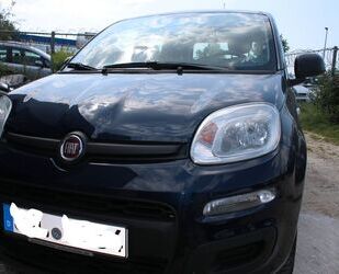 Fiat Panda Gebrauchtwagen
