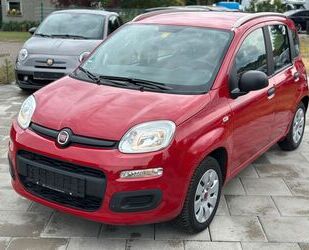 Fiat New Panda Gebrauchtwagen