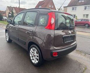 Fiat Panda Gebrauchtwagen