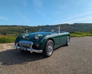 Austin Healey Andere Gebrauchtwagen