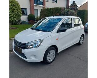 Suzuki Celerio Gebrauchtwagen