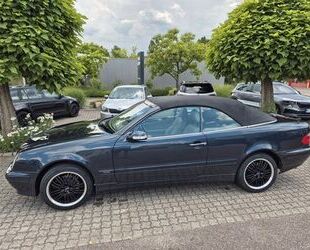 Mercedes-Benz CLK 230 Gebrauchtwagen