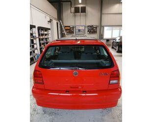 VW Polo Gebrauchtwagen
