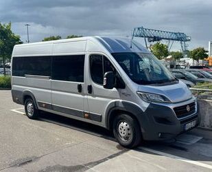 Fiat Ducato Gebrauchtwagen