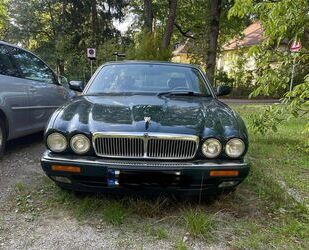 Jaguar XJ6 Gebrauchtwagen