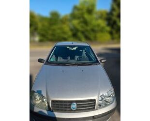 Fiat Punto Gebrauchtwagen