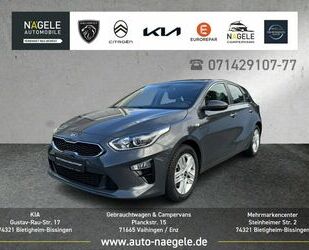 Kia ceed / Ceed Gebrauchtwagen