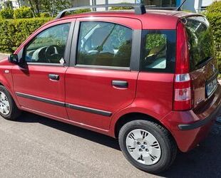 Fiat Panda Gebrauchtwagen