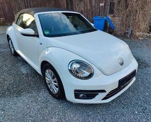 VW Beetle Gebrauchtwagen