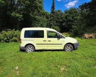 VW Caddy Gebrauchtwagen
