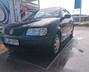 VW Polo Gebrauchtwagen