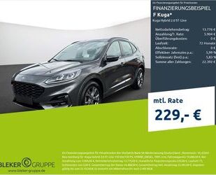 Ford Kuga Gebrauchtwagen