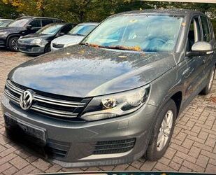 VW Tiguan Gebrauchtwagen