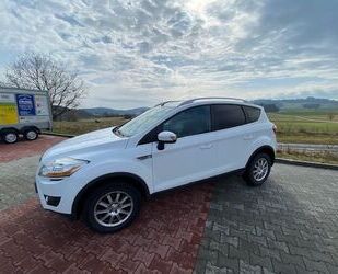 Ford Kuga Gebrauchtwagen