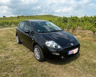 Fiat Punto Gebrauchtwagen