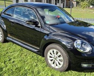 VW Beetle Gebrauchtwagen