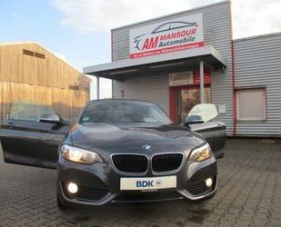 BMW BMW Cabrio 218 i Advantage*NAVI*ALU* Gebrauchtwagen