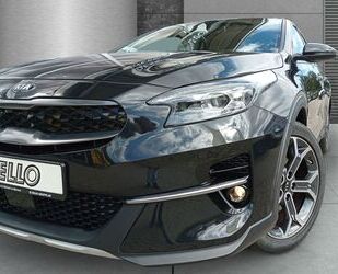 Kia XCeed Gebrauchtwagen