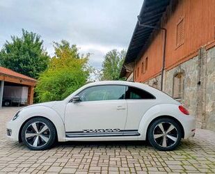 VW Beetle Gebrauchtwagen