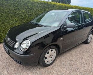 VW Polo Gebrauchtwagen