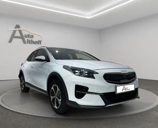 Kia XCeed Gebrauchtwagen