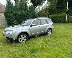 Subaru Forester Gebrauchtwagen