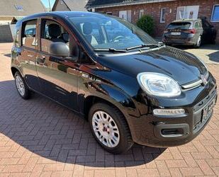 Fiat Panda Gebrauchtwagen