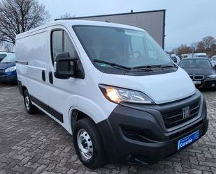 Fiat Ducato Gebrauchtwagen