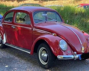 VW Käfer Gebrauchtwagen