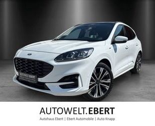 Ford Kuga Gebrauchtwagen